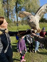 Program dravci a sovy - obrázek číslo: 15