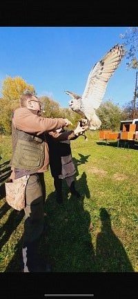 Program dravci a sovy - obrázek číslo: 16