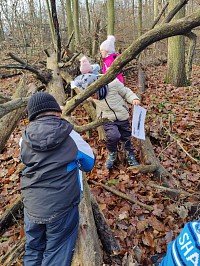 Listopad ve školce - obrázek číslo: 128