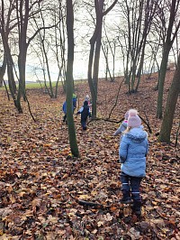 Listopad ve školce - obrázek číslo: 154