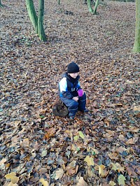 Listopad ve školce - obrázek číslo: 150