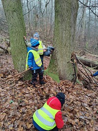 Listopad ve školce - obrázek číslo: 179