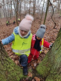 Listopad ve školce - obrázek číslo: 174