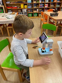 Listopad ve školce - obrázek číslo: 216