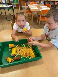 Září v naší školce - obrázek číslo: 4