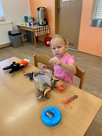 Září v naší školce - obrázek číslo: 89