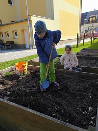 Sázíme hrášek - obrázek číslo: 5