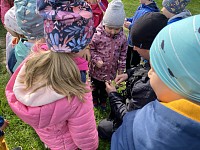 Květen v naší školce - obrázek číslo: 32