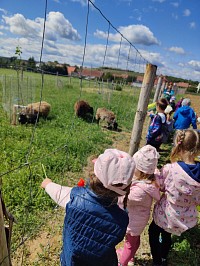 Květen v naší školce - obrázek číslo: 58
