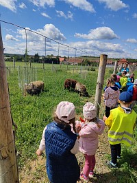 Květen v naší školce - obrázek číslo: 57