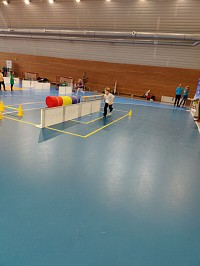 Olympiáda mateřských školek - obrázek číslo: 17