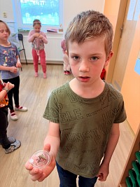 Chováme motýlky - obrázek číslo: 16