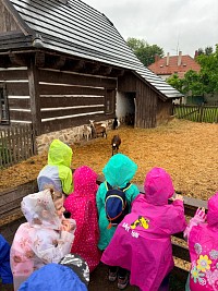 Výlet do Centra EDEN - obrázek číslo: 55