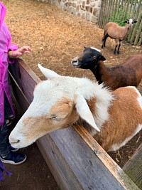 Výlet do Centra EDEN - obrázek číslo: 52