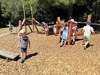 Výlet do DPMB a na parník - obrázek číslo: 66