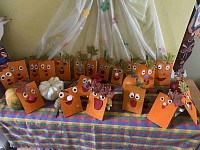 ŠD - polytechnika - dýně - obrázek číslo: 1