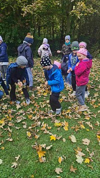 ŠD - hrátky v listí - obrázek číslo: 8