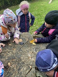 ŠD - pozorování Karhánku pod mikroskopy - obrázek číslo: 11