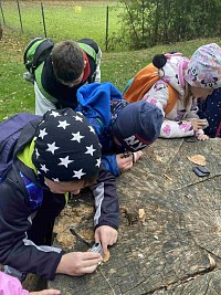 ŠD - pozorování Karhánku pod mikroskopy - obrázek číslo: 12