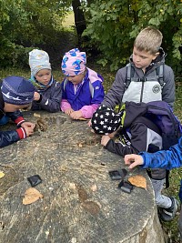 ŠD - pozorování Karhánku pod mikroskopy - obrázek číslo: 7