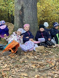 ŠD - pozorování Karhánku pod mikroskopy - obrázek číslo: 8