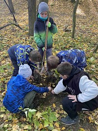 ŠD - Den stromů - sázení - obrázek číslo: 8