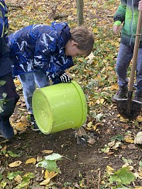 ŠD - Den stromů - sázení - obrázek číslo: 9