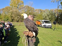 Dravci, sovy a člověk - obrázek číslo: 1