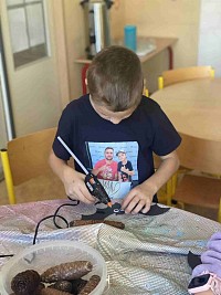 ŠD - netopýři z šišek - obrázek číslo: 2