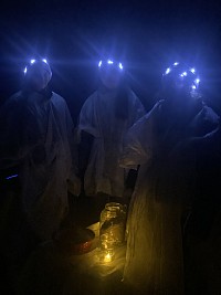 Světýlkování - obrázek číslo: 3