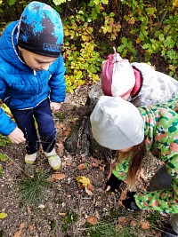 Za skřítky do lesa - 2.a 3.třída - obrázek číslo: 11