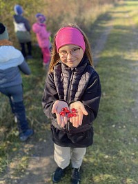 ŠD - sběr šípků - obrázek číslo: 3