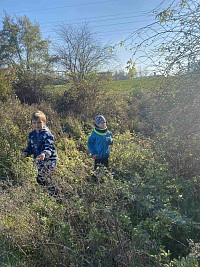 ŠD - sběr šípků - obrázek číslo: 5