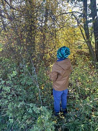 ŠD - sběr šípků - obrázek číslo: 6