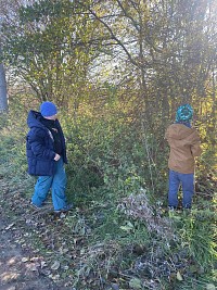 ŠD - sběr šípků - obrázek číslo: 7