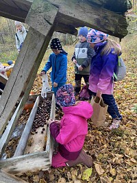 ŠD - Krmení zvířátek v lese - obrázek číslo: 4