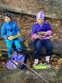 ŠD - Krmení zvířátek v lese - obrázek číslo: 7