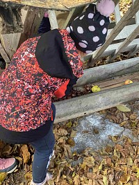 ŠD - Krmení zvířátek v lese - obrázek číslo: 13