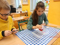 Přírodověda hokusy-pokusy - obrázek číslo: 11