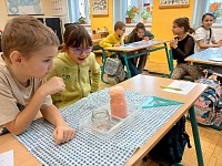 Přírodověda hokusy-pokusy - obrázek číslo: 14