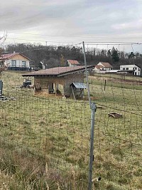 ŠD - výlet do dančí obory a návštěva cukrárny - obrázek číslo: 7