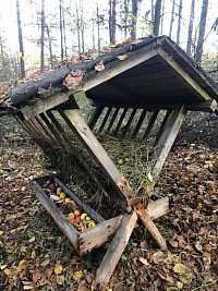 ŠD - Krmení zvířátek v lese - obrázek číslo: 13