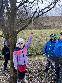 ŠD - Krmení ptáčků na Biocentru - obrázek číslo: 17