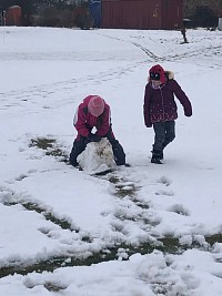 ŠD - dovádění ve sněhu - obrázek číslo: 7