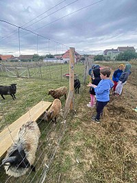 ŠD - návštěva oveček - obrázek číslo: 3