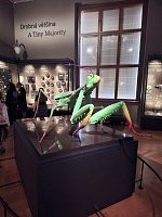 Literárně-vlastivědná exkurze Praha - obrázek číslo: 4