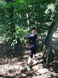 ŠD - zkoumáme les - obrázek číslo: 1