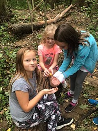 ŠD - zkoumáme les - obrázek číslo: 5