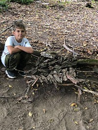 ŠD - zkoumáme les - obrázek číslo: 7