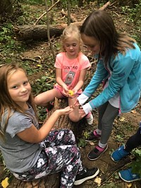 ŠD - zkoumáme les - obrázek číslo: 9